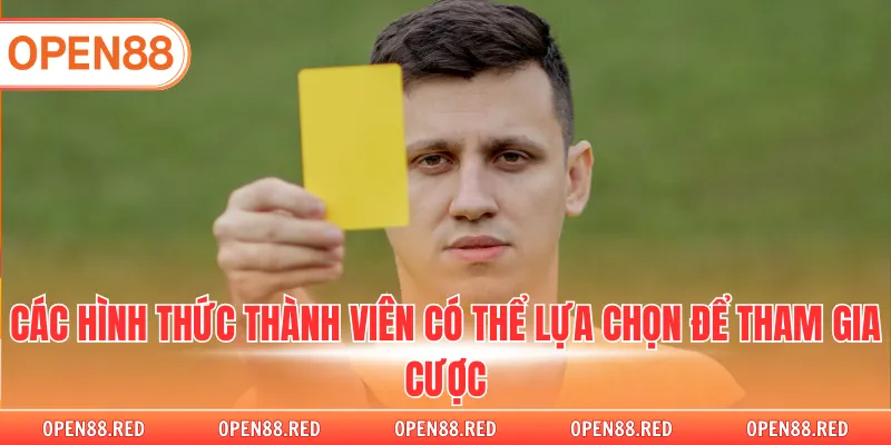 Các hình thức thành viên có thể lựa chọn để tham gia cược