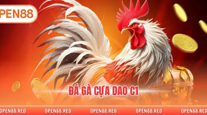 Đá Gà Cựa Dao C1 - Trận Đấu Gà Chọi Căng Thẳng, Hấp Dẫn