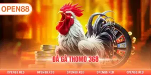 Đá Gà Thomo 368 - Đấu Trường Gà Chọi Giải Trí Đỉnh Cao