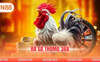 Đá Gà Thomo 368 - Đấu Trường Gà Chọi Giải Trí Đỉnh Cao