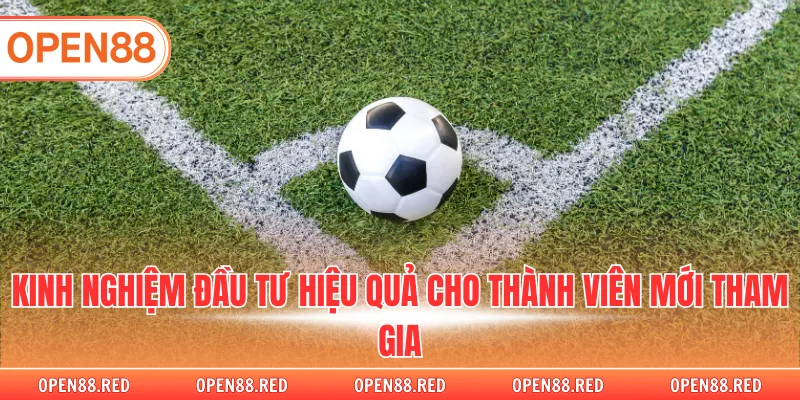 Kinh nghiệm đầu tư hiệu quả cho thành viên mới tham gia